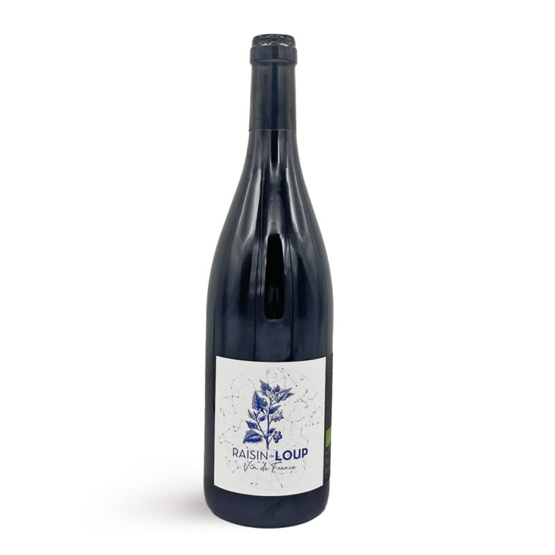 vin rouge, Côtes-du-Rhône, Châteauneuf-du-Pape, Vin de France, Domaine de Marcoux, Raisin Loup